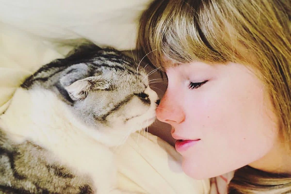 taylor-swift-cat-s-net-worth-higher-than-her-boyfriend