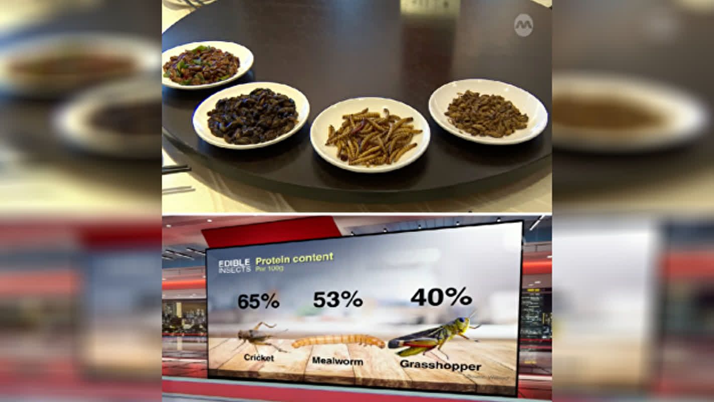Singapore Officially Adds 16 Insects Safe For Consumption