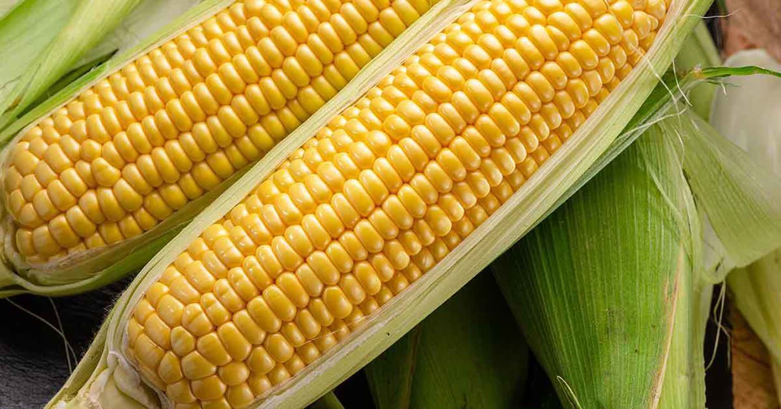 4 Easy Tips to Keep Your Corn Freshness All Summer Long