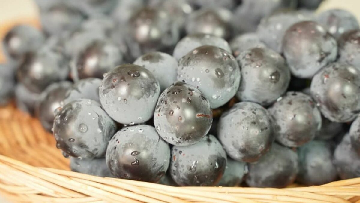 Dentist Reveals Shocking Truth Avoid Brushing Your Teeth After These